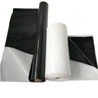 Plastic white black poly panda film for greenhouse covering panda film