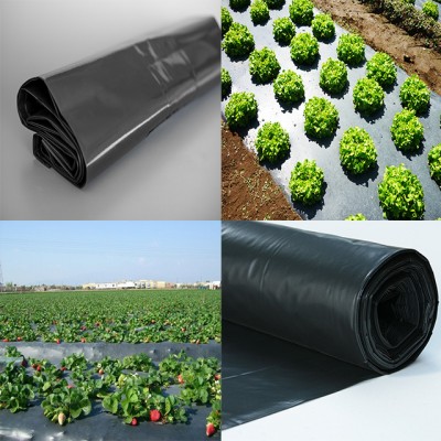 Agriculture Red Black Mulch Mulching Film Sheet for Tomato Pineapple Strawberry